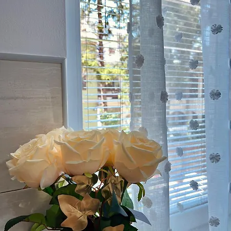 Lumo Apartment Nis
